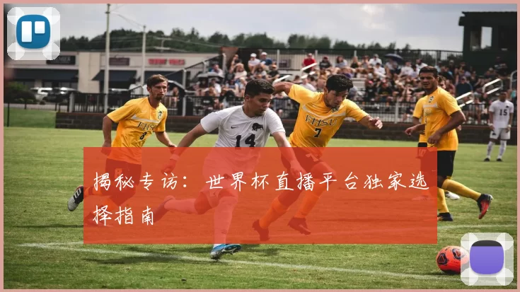 揭秘专访:世界杯直播平台独家选择指南