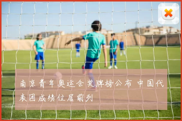 南京青年奥运会奖牌榜公布 中国代表团成绩位居前列