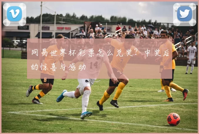 网易世界杯彩票怎么兑奖？中奖后的惊喜与感动