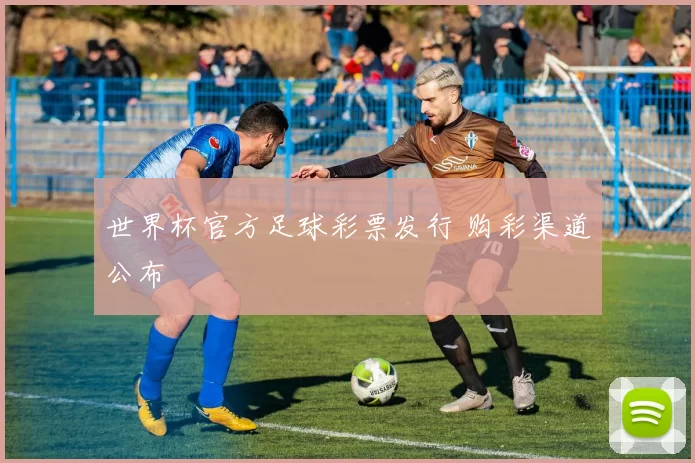 世界杯官方足球彩票发行 购彩渠道公布