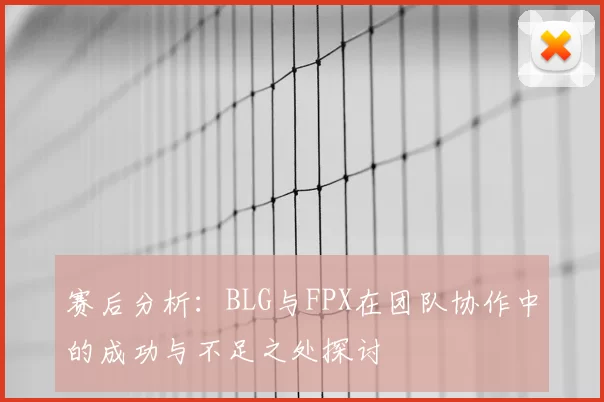 赛后分析:BLG与FPX在团队协作中的成功与不足之处探讨