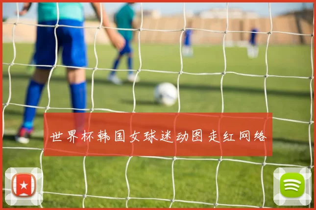 世界杯韩国女球迷动图走红网络