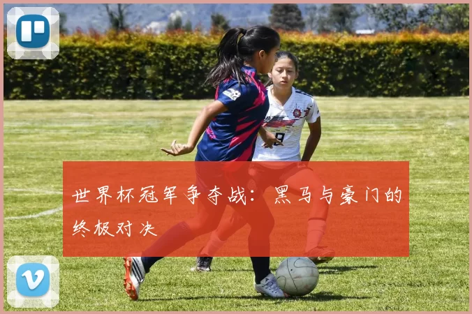 世界杯冠军争夺战:黑马与豪门的终极对决