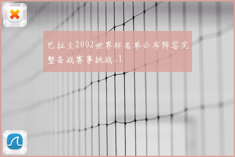 巴拉圭2002世界杯名单公布阵容完整备战赛事挑战_1