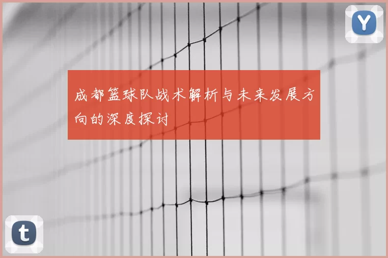 成都篮球队战术解析与未来发展方向的深度探讨