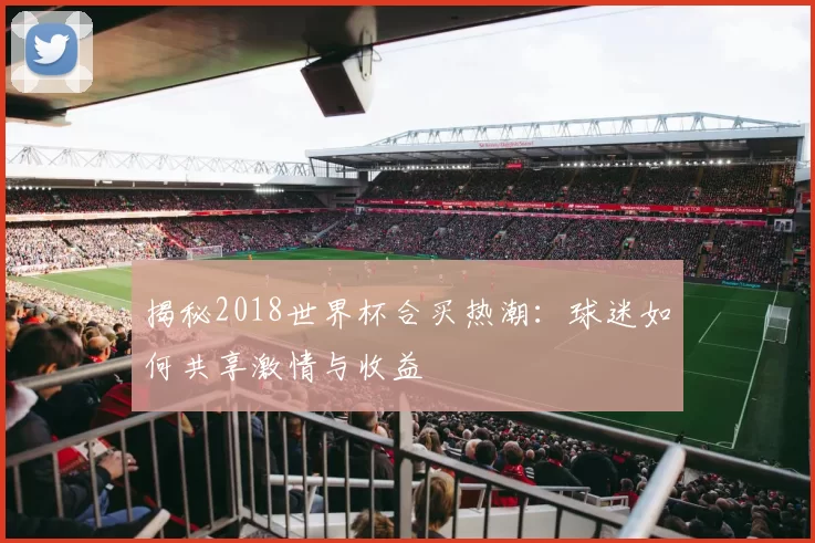 揭秘2018世界杯合买热潮:球迷如何共享激情与收益