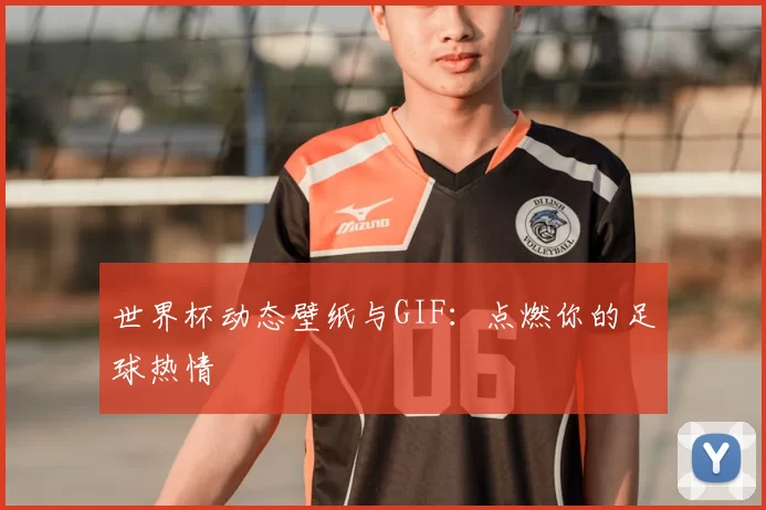 世界杯动态壁纸与GIF:点燃你的足球热情