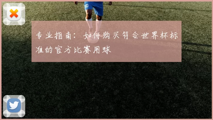 专业指南：如何购买符合世界杯标准的官方比赛用球