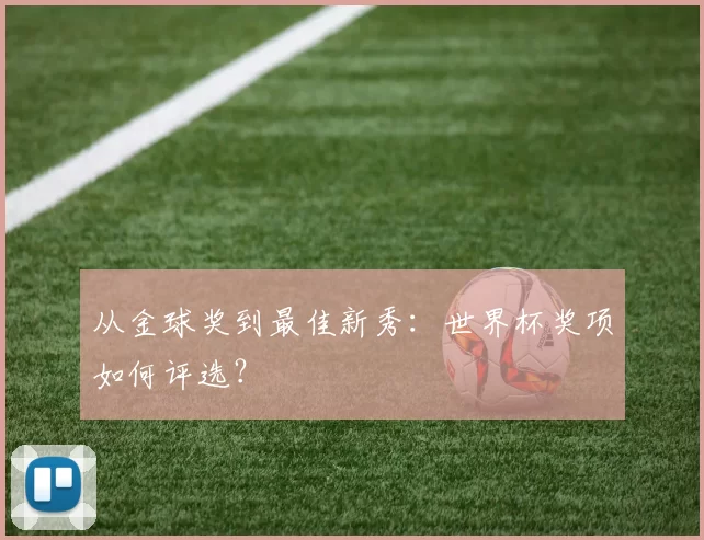 从金球奖到最佳新秀：世界杯奖项如何评选？