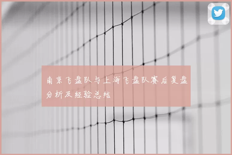南京飞盘队与上海飞盘队赛后复盘分析及经验总结
