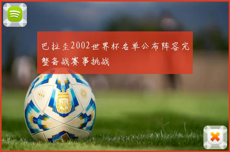 巴拉圭2002世界杯名单公布阵容完整备战赛事挑战