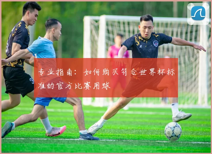专业指南：如何购买符合世界杯标准的官方比赛用球
