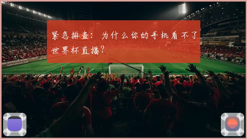 紧急排查:为什么你的手机看不了世界杯直播?