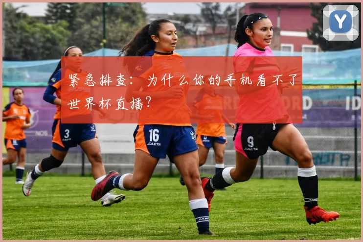 紧急排查:为什么你的手机看不了世界杯直播?