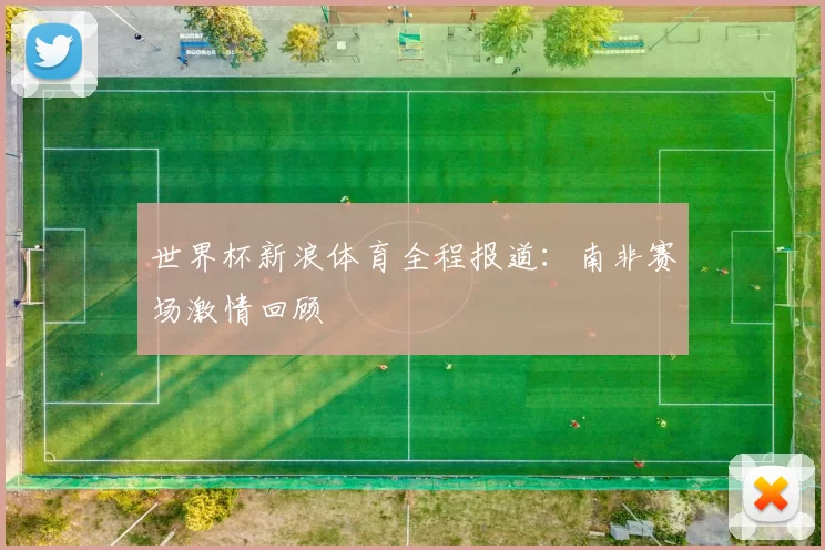 世界杯新浪体育全程报道:南非赛场激情回顾